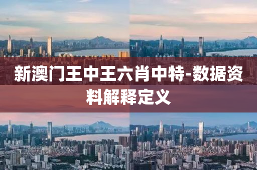 新澳(ao)門王中(zhong)王六(liu)肖(xiao)中(zhong)特-數據資(zi)料(liao)解(jie)釋(shi)定義(yi)