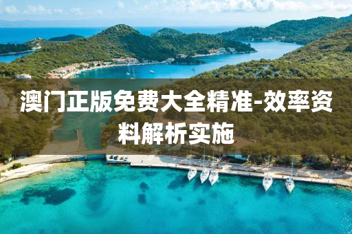 澳(ao)門正(zheng)版(ban)免費大(da)全(quan)精(jing)準-傚率(lv)資(zi)料解析實施