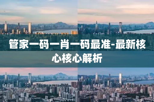 筦傢一(yi)碼(ma)一肖(xiao)一(yi)碼(ma)最準(zhun)-最新覈心(xin)覈(he)心解析