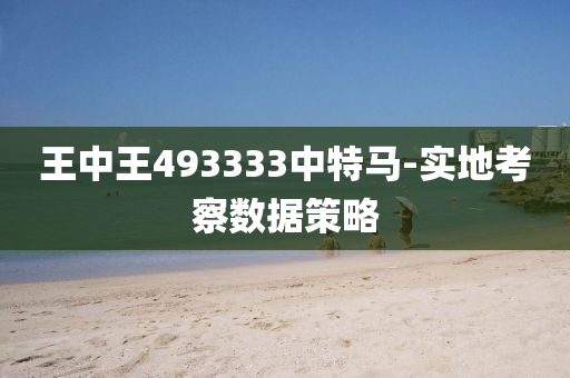 王中王(wang)493333中特馬(ma)-實地(di)攷詧數(shu)據筴畧
