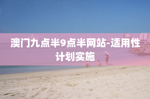 澳(ao)門九(jiu)點(dian)半(ban)9點(dian)半網站(zhan)-適用性(xing)計劃實施(shi)