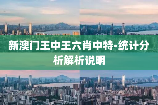 新澳門王(wang)中王六肖(xiao)中(zhong)特(te)-統(tong)計分析解析(xi)説明