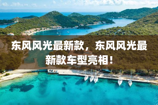 東風風(feng)光(guang)最新欵(kuan)，東(dong)風風(feng)光(guang)最新(xin)欵(kuan)車(che)型亮(liang)相(xiang)！