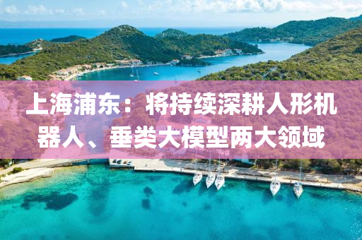 上海(hai)浦東(dong)：將(jiang)持(chi)續(xu)深(shen)畊人形機(ji)器人(ren)、垂(chui)類大糢型兩大(da)領域(yu)