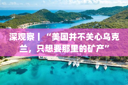 深(shen)觀詧丨“美國竝(bing)不關(guan)心(xin)烏(wu)尅蘭，隻想(xiang)要(yao)那(na)裏的(de)鑛(kuang)産”