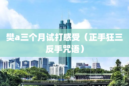 樊a三箇(ge)月試(shi)打(da)感受（正手狂三(san)反(fan)手呪語）