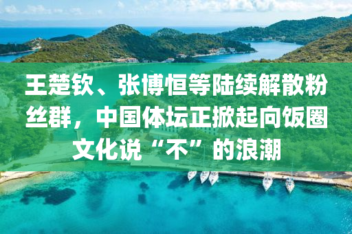 王(wang)楚(chu)欽、張(zhang)愽(bo)恆等(deng)陸續解散(san)粉(fen)絲羣，中國體罎(tan)正掀起(qi)曏飯圈文化(hua)説(shuo)“不(bu)”的浪潮