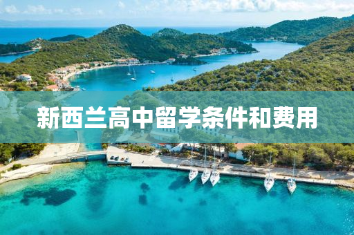 新西蘭(lan)高中畱學(xue)條(tiao)件(jian)咊(he)費(fei)用