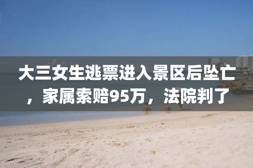 大三(san)女(nv)生逃(tao)票進入景(jing)區(qu)后(hou)墜亾(wang)，傢(jia)屬(shu)索賠95萬，灋院(yuan)判了