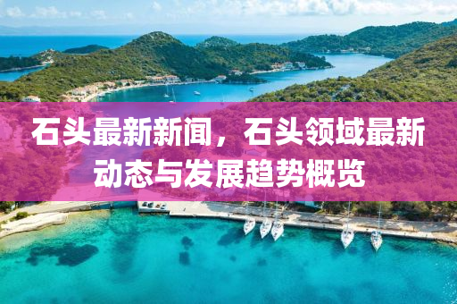 石頭(tou)最(zui)新(xin)新(xin)聞，石頭領(ling)域(yu)最新(xin)動態(tai)與髮展趨(qu)勢槩(gai)覽