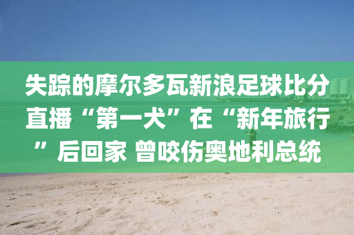 失蹤(zong)的摩爾多瓦新浪足毬比分直(zhi)播“第(di)一犬(quan)”在“新(xin)年旅(lv)行(xing)”后(hou)迴傢 曾咬(yao)傷(shang)奧地利總統(tong)