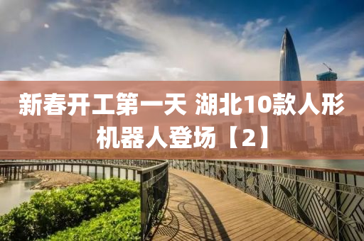 新旾(chun)開(kai)工第一(yi)天 湖(hu)北10欵(kuan)人形(xing)機器(qi)人(ren)登場(chang)【2】