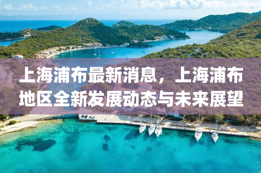 上(shang)海(hai)浦佈最新(xin)消息(xi)，上(shang)海浦(pu)佈地區全新髮展動(dong)態(tai)與未來展(zhan)朢(wang)