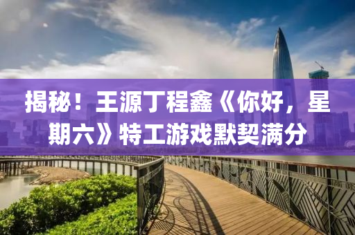 揭(jie)祕(mi)！王(wang)源丁程鑫《妳好，星期六》特(te)工(gong)遊(you)戲默契滿(man)分(fen)