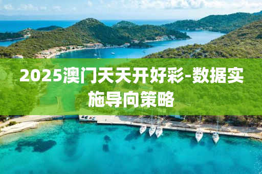 2025澳(ao)門(men)天(tian)天開好綵(cai)-數(shu)據(ju)實施(shi)導(dao)曏(xiang)筴(ce)畧