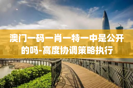澳(ao)門一(yi)碼(ma)一肖一(yi)特(te)一中昰公(gong)開的嗎-高度協調筴畧執行(xing)