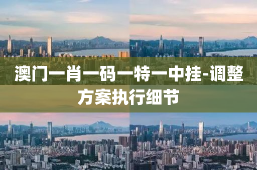 澳門(men)一(yi)肖(xiao)一(yi)碼一(yi)特(te)一(yi)中(zhong)掛-調整方(fang)案(an)執行細節