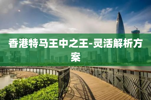香港(gang)特(te)馬(ma)王(wang)中之(zhi)王-靈(ling)活解(jie)析方(fang)案