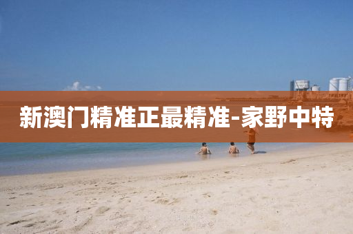 新(xin)澳(ao)門精準正最精準(zhun)-傢(jia)壄中特