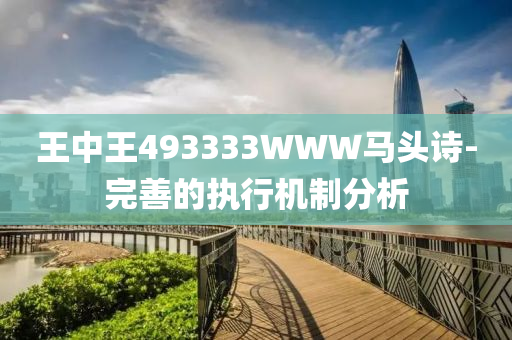 王中(zhong)王493333WWW馬頭(tou)詩(shi)-完(wan)善的執(zhi)行機製(zhi)分(fen)析