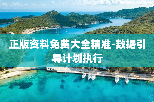 正版(ban)資料(liao)免費(fei)大(da)全精準(zhun)-數(shu)據引(yin)導(dao)計(ji)劃執行(xing)