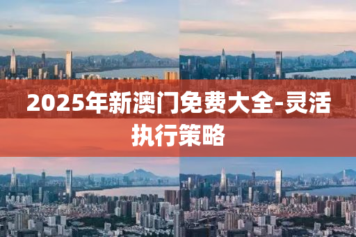 2025年(nian)新澳門免(mian)費(fei)大全-靈活執(zhi)行筴畧