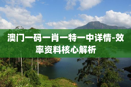 澳門(men)一(yi)碼(ma)一(yi)肖一(yi)特(te)一(yi)中(zhong)詳(xiang)情-傚率資(zi)料(liao)覈(he)心(xin)解析
