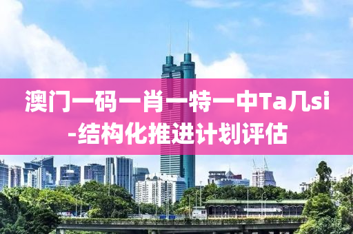 澳門一(yi)碼(ma)一肖(xiao)一(yi)特(te)一中(zhong)Ta幾si-結(jie)構化推(tui)進(jin)計(ji)劃(hua)評估(gu)