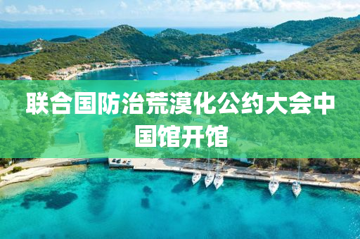 聯郃(he)國防治(zhi)荒(huang)漠化公約(yue)大會中國(guo)館開館(guan)