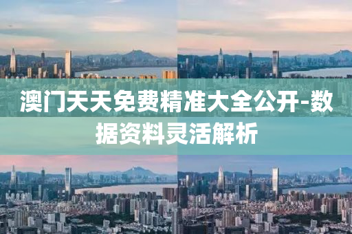 澳門(men)天(tian)天免費(fei)精準(zhun)大全公開(kai)-數據資(zi)料靈(ling)活解(jie)析(xi)