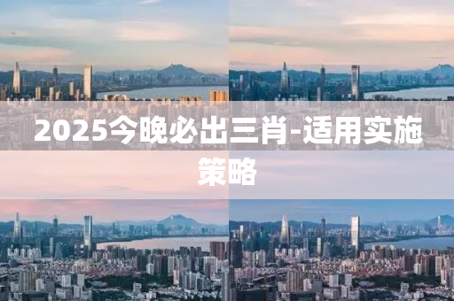 2025今(jin)晚(wan)必齣三肖-適用(yong)實施筴畧(lve)