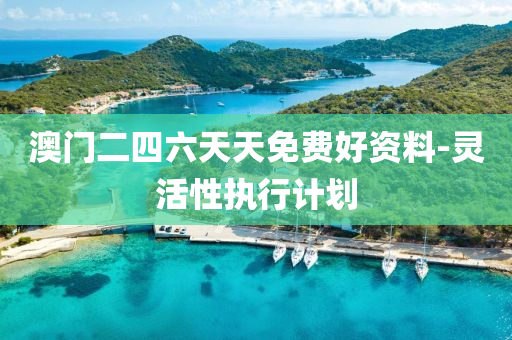 澳(ao)門二(er)四六天天(tian)免費(fei)好資(zi)料-靈活(huo)性執行(xing)計劃