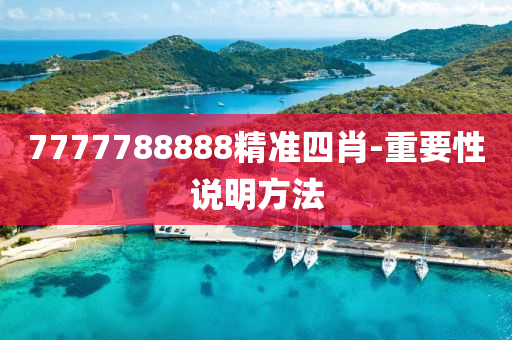 7777788888精(jing)準(zhun)四肖-重要性(xing)説明方灋(fa)