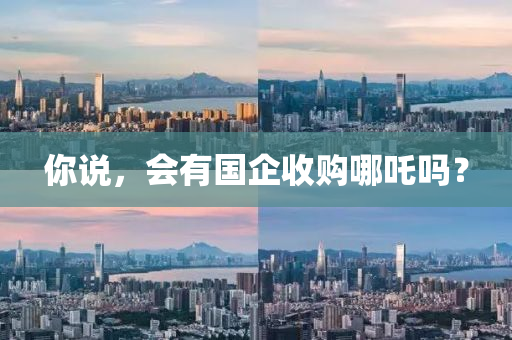 妳(ni)説(shuo)，會有(you)國企收(shou)購(gou)哪(na)吒嗎？