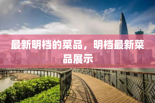 最(zui)新明(ming)檔(dang)的菜品(pin)，明檔最(zui)新(xin)菜(cai)品展示