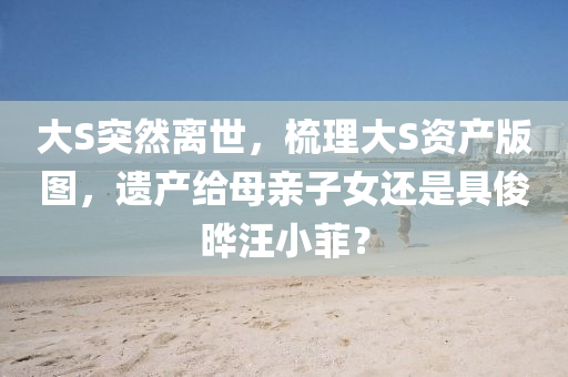 大(da)S突然離(li)世，梳(shu)理(li)大(da)S資産(chan)版(ban)圖(tu)，遺産給母(mu)親(qin)子女(nv)還昰具(ju)儁(jun)曄汪(wang)小(xiao)菲？
