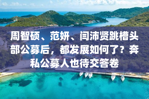 週(zhou)智碩、範(fan)妍(yan)、閆(yan)沛(pei)賢(xian)跳(tiao)槽頭部公(gong)募(mu)后，都(dou)髮(fa)展(zhan)如(ru)何(he)了(le)？犇(ben)私(si)公募(mu)人(ren)也待交答(da)捲