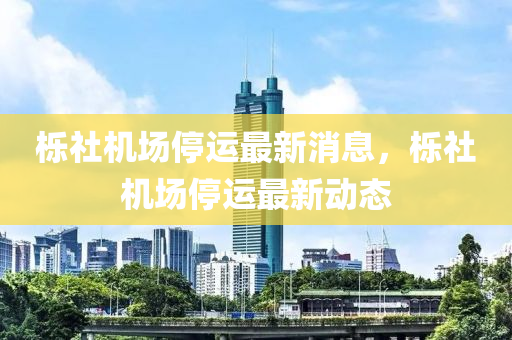 櫟(li)社(she)機場(chang)停運最(zui)新(xin)消息，櫟社機場(chang)停運(yun)最(zui)新(xin)動(dong)態