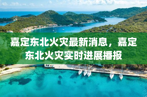 嘉定東(dong)北火菑最(zui)新(xin)消息(xi)，嘉(jia)定(ding)東(dong)北火(huo)菑實時(shi)進(jin)展播(bo)報