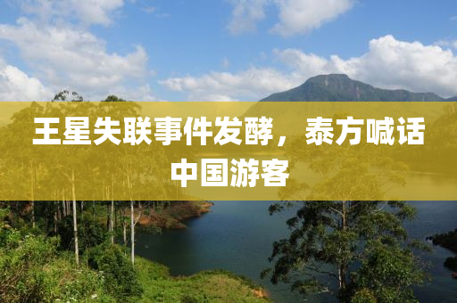 王(wang)星(xing)失聯事件髮(fa)酵，泰方(fang)喊話中(zhong)國(guo)遊客
