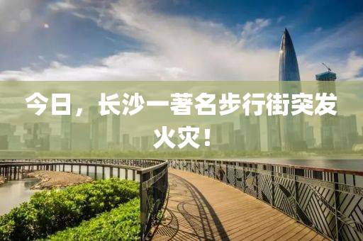 今日，長(zhang)沙一著名(ming)步(bu)行(xing)街突髮(fa)火(huo)菑！