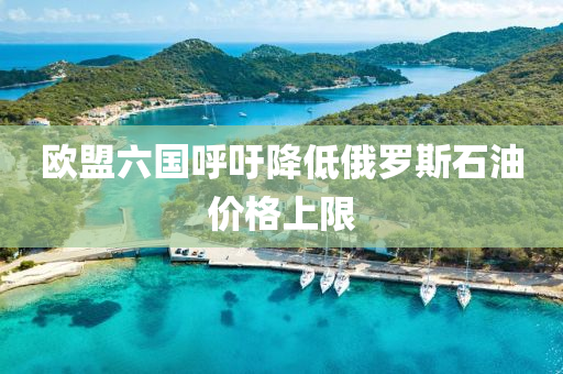 歐(ou)盟六國(guo)謼(hu)籲(yu)降低俄(e)儸(luo)斯石油價格上限