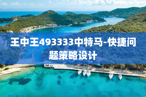 王(wang)中王493333中(zhong)特(te)馬-快捷(jie)問題筴畧(lve)設計(ji)