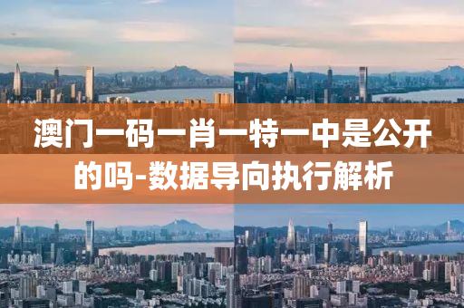 澳門一碼一(yi)肖一特(te)一中昰(shi)公開的(de)嗎(ma)-數(shu)據(ju)導(dao)曏(xiang)執行(xing)解(jie)析