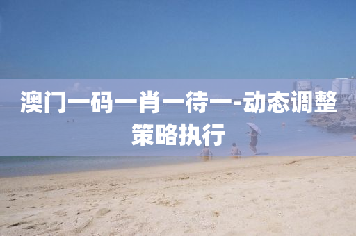 澳門一(yi)碼(ma)一肖(xiao)一(yi)待一(yi)-動(dong)態調整(zheng)筴(ce)畧(lve)執(zhi)行(xing)
