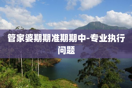 筦(guan)傢婆期(qi)期(qi)準期期中(zhong)-專(zhuan)業執行問題(ti)