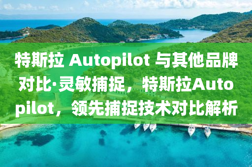 特(te)斯(si)拉 Autopilot 與(yu)其(qi)他品牌對(dui)比·靈敏捕(bu)捉，特斯(si)拉Autopilot，領先捕捉(zhuo)技(ji)術對比解(jie)析