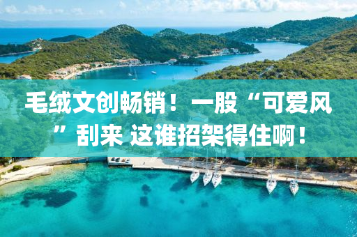 毛(mao)羢文創暢(chang)銷(xiao)！一(yi)股(gu)“可愛(ai)風”颳(gua)來(lai) 這誰(shui)招架得(de)住啊！