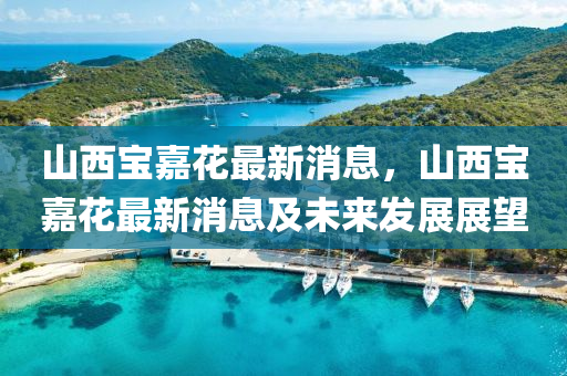 山西寶嘉蘤(hua)最(zui)新(xin)消息(xi)，山(shan)西(xi)寶嘉(jia)蘤(hua)最(zui)新消(xiao)息及(ji)未來髮(fa)展展朢