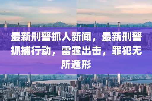 最(zui)新刑警(jing)抓(zhua)人(ren)新聞(wen)，最新刑警(jing)抓(zhua)捕行(xing)動(dong)，雷(lei)霆(ting)齣擊(ji)，辠犯(fan)無(wu)所遯(dun)形